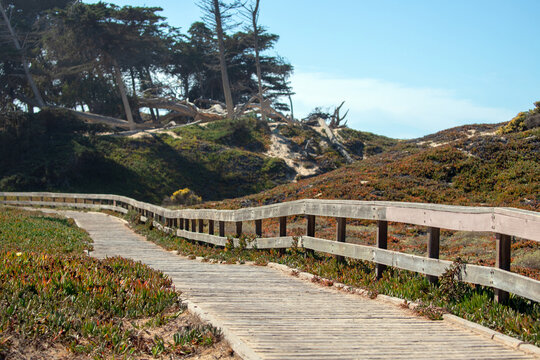 Boardwalk walking path at Pismo Beach Monarch Butterfly Refuge in Central California United States