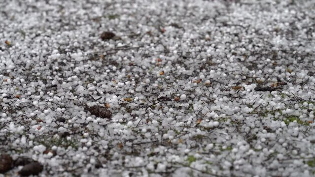 Closeup of random popcorn hail covering the ground, bouncing ice pellets, sudden, unexpected