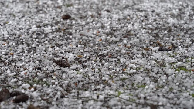 A sudden and unexpected popcorn hail storm covered the ground in white bouncing pellets