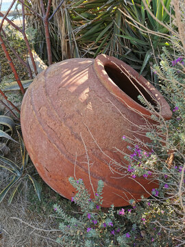 A pithos is a large ceramic vessel in which food was previously stored lying on the ground among plants.