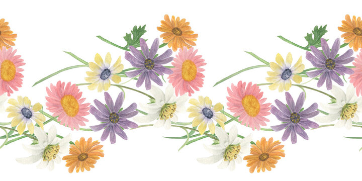 Watercolor painting seamless border with beautiful meadow flowers on white background. Summer illustration