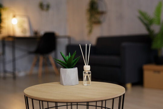 close up of reed diffuser and house plant on the table in living room or home office