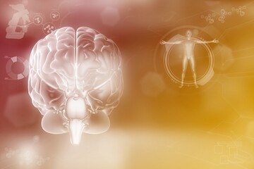 Medical 3D illustration - human brain, mental discovery concept - detailed modern texture or background