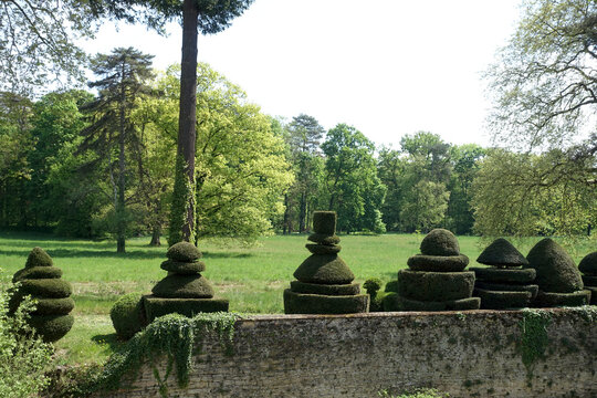 All&eacute;e d'arbustes taill&eacute;s de fa&ccedil;on d&eacute;corative