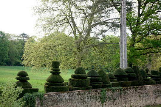 Arbres taill&eacute;s en topiaire dans un jardin d'agr&eacute;ment