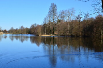 Fototapeta na wymiar See im Frühling in der Stadt Visselhövede, Niedersachsen
