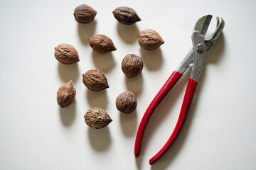 クルミとクルミ割り器