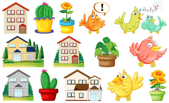 Different house designs and cute birds