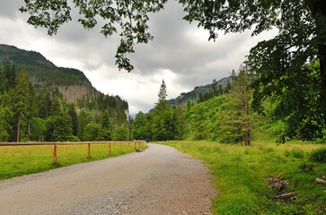 road to the mountains