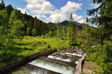 Dolina Bystrej mountain  landscape with river © Matt
