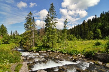 Obraz premium Dolina Bystrej landscape with river