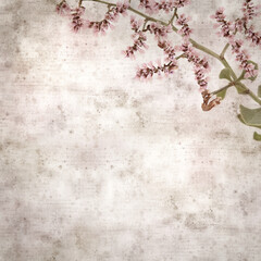 square stylish old textured paper background with pale pink flowers og Limonium pectinatum sea rosemary
