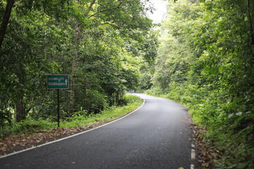 a road winding through the dense forest of a mountainous village