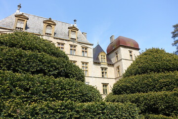 Fototapeta na wymiar Topiaires devant le château de Fléchères