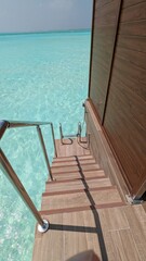 swimming pool ladder