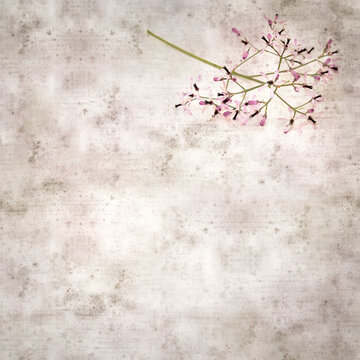 square stylish old textured paper background with pale lilac flowers of Melia azedarach, chinaberry tree 
