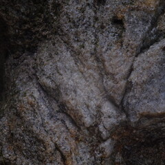 beautiful natural texture