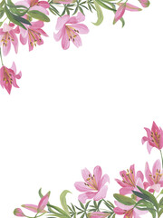 Fototapeta premium Frame of pink lilies