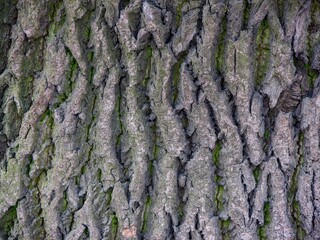 beautiful natural texture