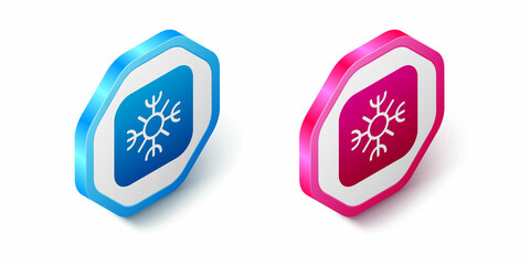 Isometric Snowflake icon isolated on white background. Hexagon button. Vector