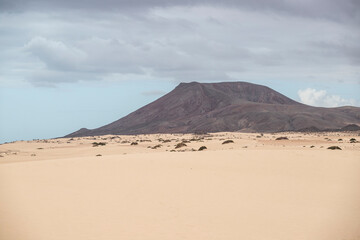 Fototapeta na wymiar Dune of Corralejo in Fuerteventura, Spain.