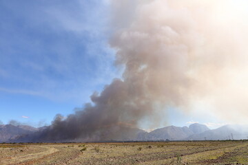 Fototapeta na wymiar Smoke billowing from a grassland fire on a farm near Worcester, Western Cape, South Africa.