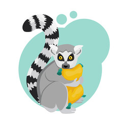 Lemur with big eyes holds a pillow