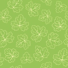 Seamless green texture of the leaves of a perennial plant. Insulated Heucherella foliage for printing on fabric, paper.