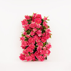 Spring fresh pink roses as decorative arch for presentation cosmetic products or goods, mockup on white background, square. Template for advertising, design, card, poster, flyer.