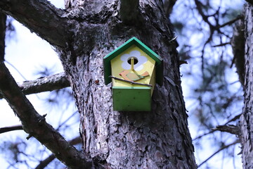 a birdhouse hung on a tree in the park