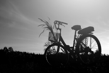 Silhouette of bicycle with landscape. black and white