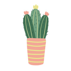 Blooming cactus houseplant in a flower pot. Vector hand drawn illustration of succulent with thorns isolated on white background. Flat style.