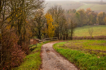 A farm road lined with trees and bushes in winter colors leads down a hill in a rural setting with mystical foggy background