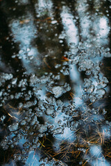 Reflection of trees in the forest in a puddle and pond, beautiful abstract natural background, in the style of Tarkovsky
