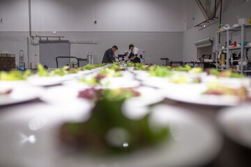 the team of chefs is working on a large number of dishes