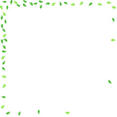 Light Green Greenery Background White Vector. Leaf Branch Texture. Subtle Card. Green Eco Design. Leaves Organic.