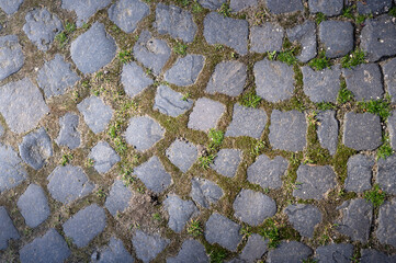 Cobblestone pavement in the city