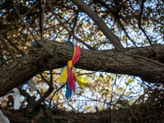 이호1동 본향 붉은왕돌 할망당_1030525