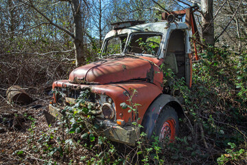 At the junkyard. Abandoned tow truck. overgrown by blackberry Perished agricultural history. Abandoned and rusted machinery.
