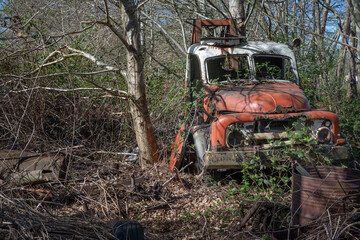 At the junkyard. Abandoned tow truck. Bedford overgrown by blackberry Perished agricultural history. Abandoned and rusted machinery.