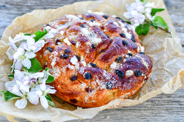 Traditional  italian easter  bread cake with  sugar,chocolate and nuts and  spring bloom 