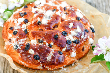 Traditional  italian easter  bread cake with  sugar,chocolate and nuts and  spring bloom 