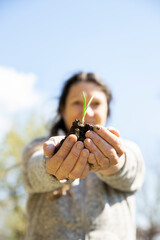 Eine Frau setzt im Frühling Zwiebeln ein