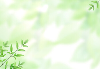 初夏の新緑　南天　背景素材