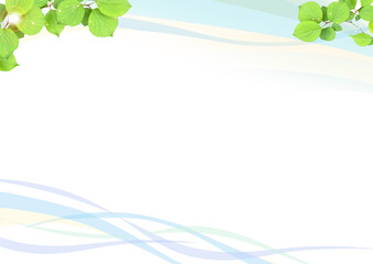 初夏の新緑　木漏れ日と風　背景素材