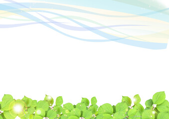 初夏の新緑　木漏れ日と風　背景素材