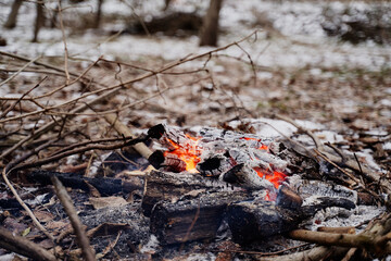 Bonfire in the winter forest.