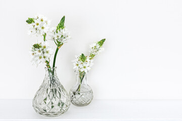 Spring flowers in glass vases isolated on white background.