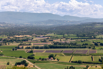 Panoramic view of valley, cultivated fruits plantations, forests, farms, mountains on horizon from...