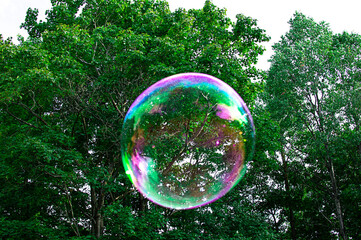 a large soap bubble in the air reflects the green trees 